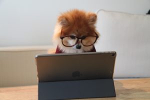 stay safe online with safedrop